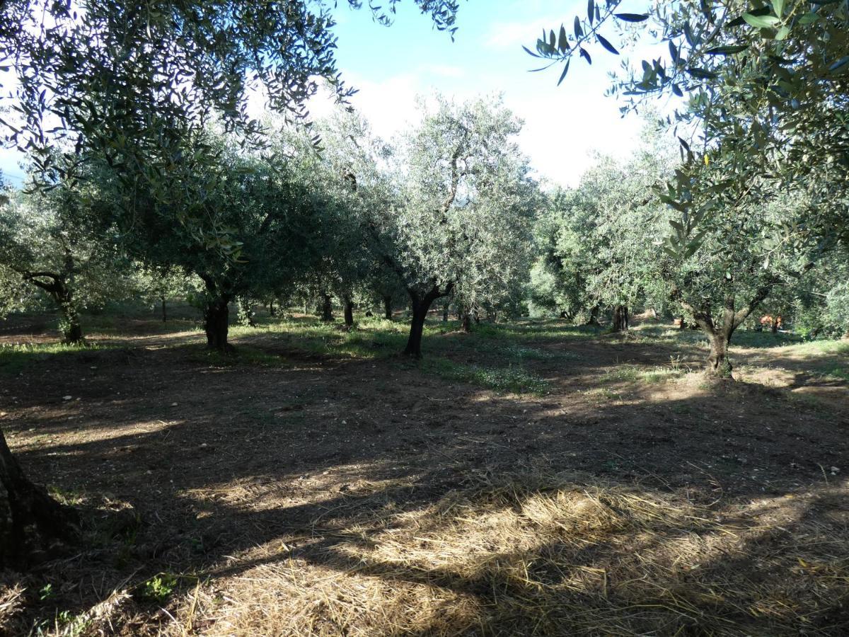 I Due Melograni Agriresort Tarano Bagian luar foto