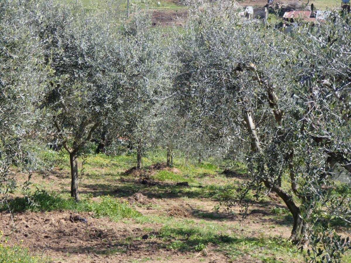 I Due Melograni Agriresort Tarano Bagian luar foto